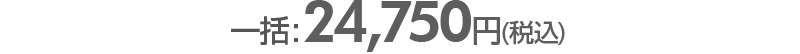 一括払い